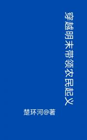 穿越明末：带领农民起义